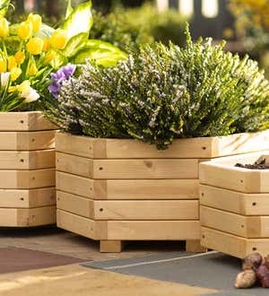 Nested Hexagon Planters, Set of 3