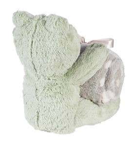 Plush Frog Stuffed Animal with Blanket Gift Set