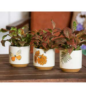 Harvest Ceramic Cachepots, Set of 3