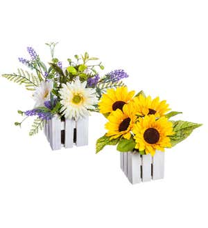 Sunflowers and Gerber Daisies in White Fence Pots, Set of 2