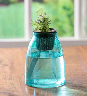 Glass Vase Self-Watering Wicking Planters with Canvas Wicks, Set of 4