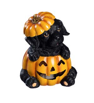 LED Puppy in a Pumpkin Figures, Set of 4