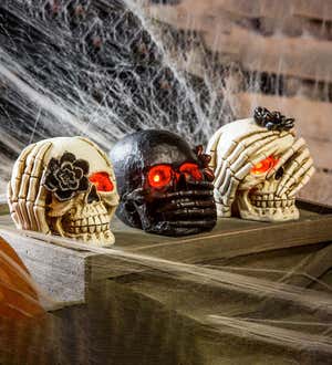 LED Halloween Skulls, Set of 3