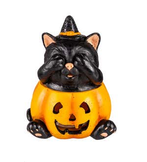 LED Color Changing Halloween Cats in Pumpkins, Set of 3