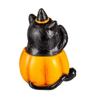 LED Color Changing Halloween Cats in Pumpkins, Set of 3