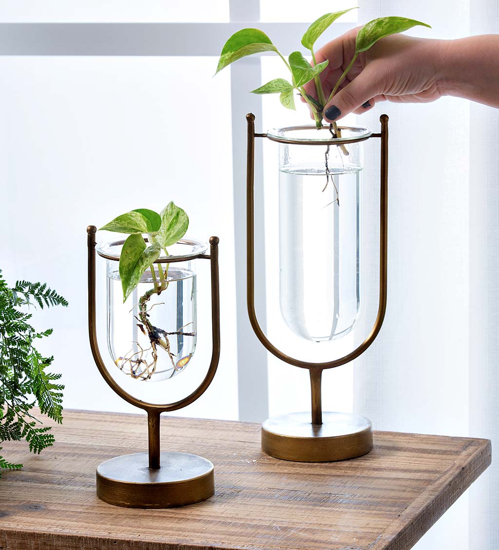 Set of Modern Glass Vases with Metal Stands