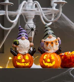 LED Polyresin Halloween Gnomes on Pumpkins Table Décor, Set of 2