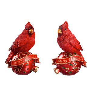 LED Color Changing Christmas Cardinals, Set of 2