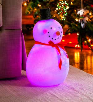 Lighted Tabletop Snowman