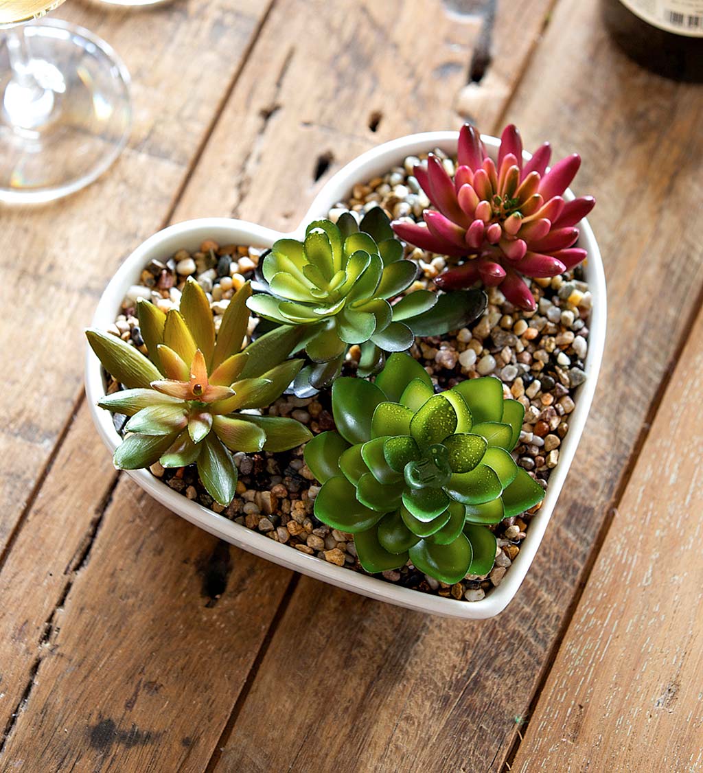 Ceramic Heart-Shaped Succulent Table Décor