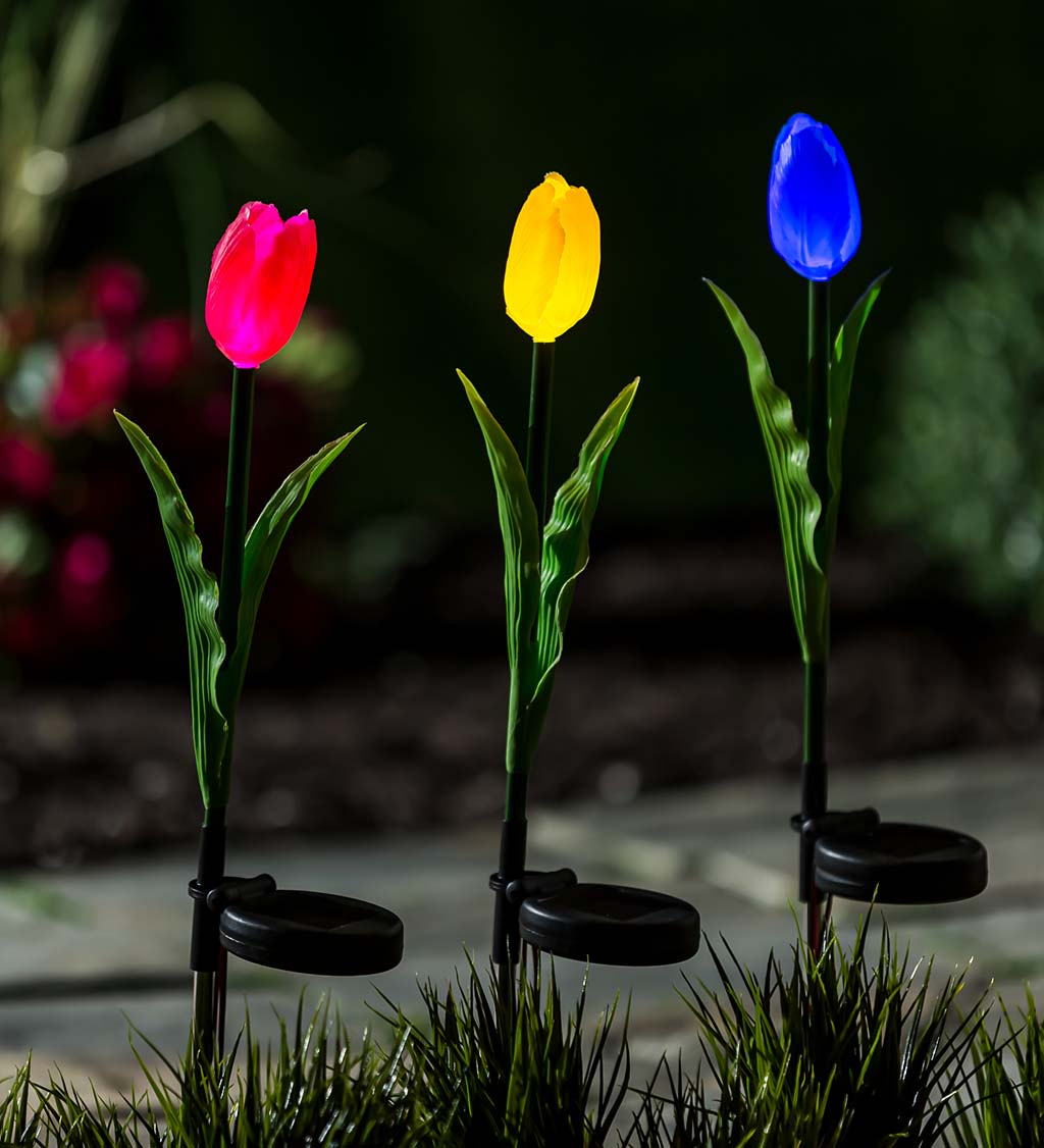 Solar Tulip Garden Stake