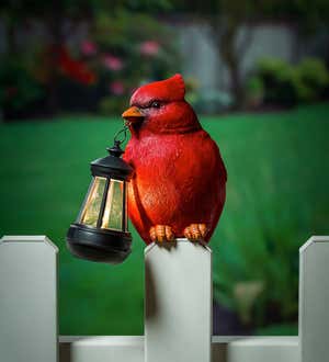 Cardinal Fence Hanger with Solar Lantern