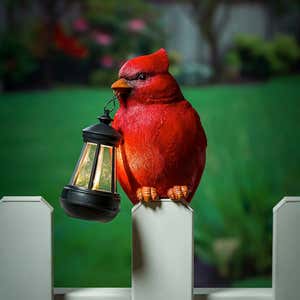 Cardinal Fence Hanger with Solar Lantern