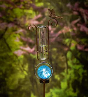 Solar Dragonfly Rain Gauge Garden Stake