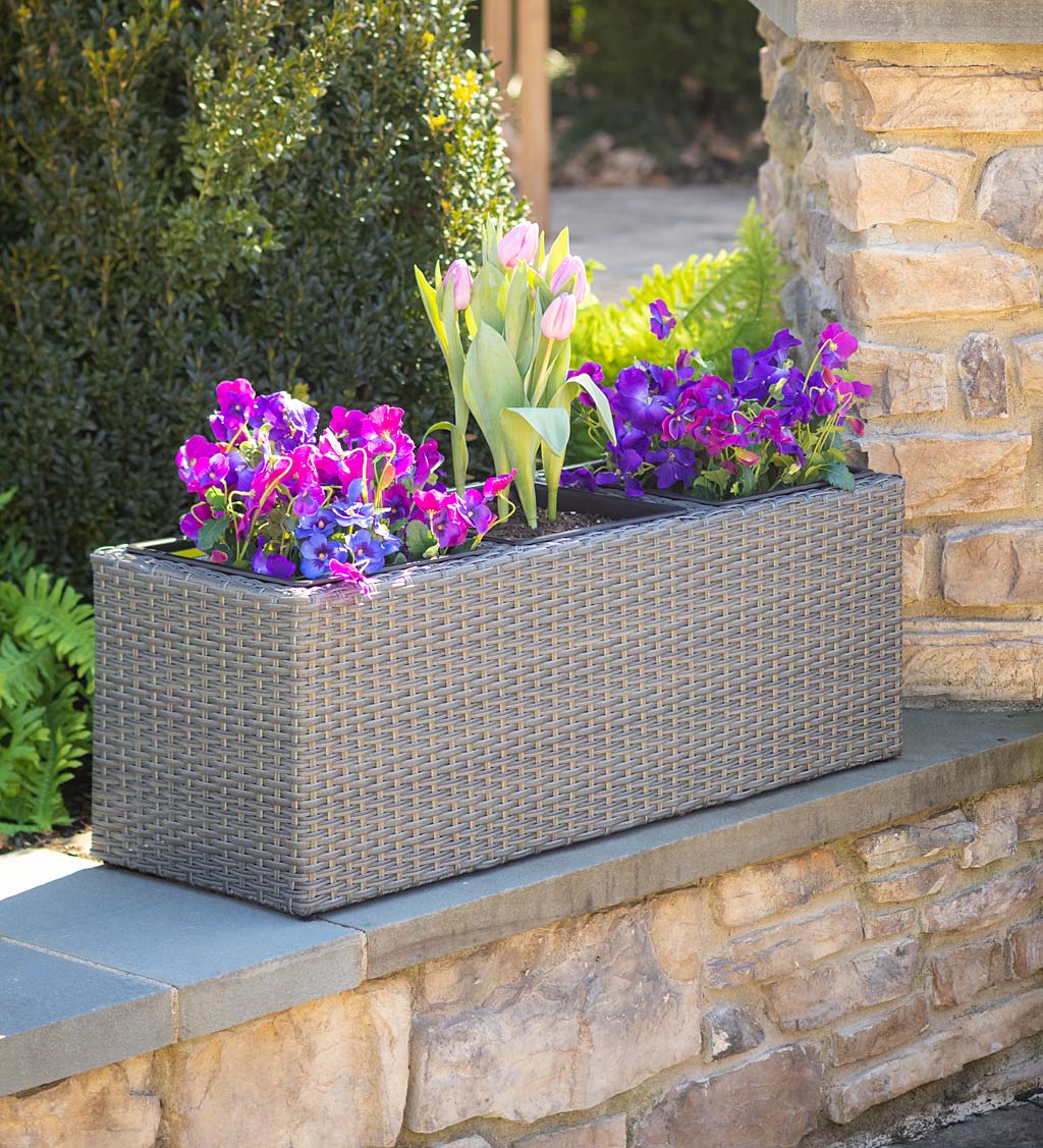 Resin Planter with 3 Dividers and 3 Plastic Pots