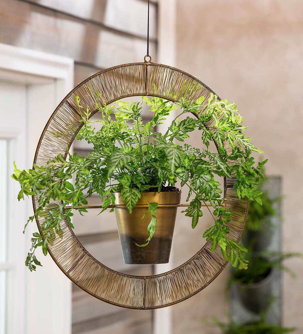 Metal Halo Hanging Planter with Pot