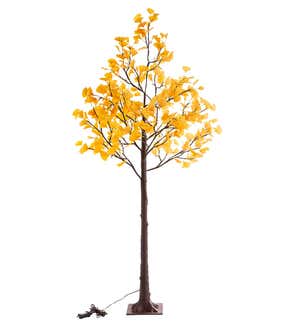 4'H Indoor/Outdoor Electric Lighted Yellow Gingko Tree - Yellow