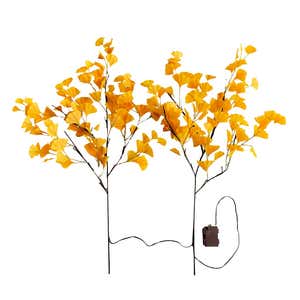 Indoor/Outdoor Lighted Yellow Gingko Branches, Set of 2 - Yellow