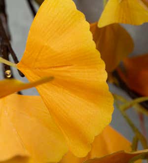 Indoor/Outdoor Lighted Yellow Gingko Branches, Set of 2 - Yellow