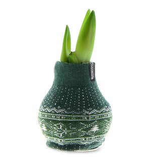Waxed Self-Contained Amaryllis Flower Bulb Gift with Nordic Sweater