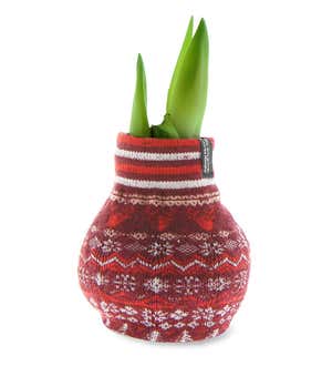Waxed Self-Contained Amaryllis Flower Bulb Gift with Nordic Sweater