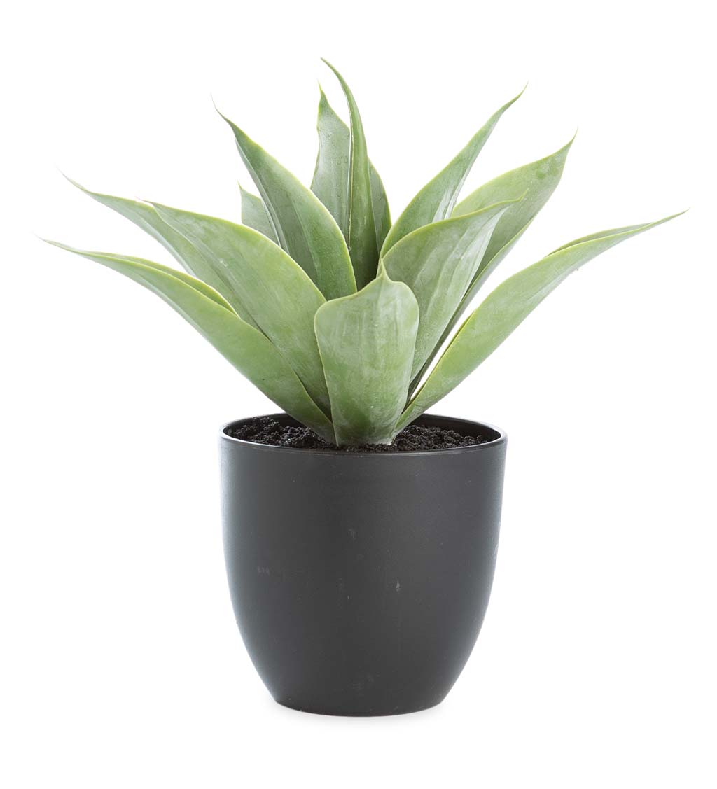 Small Faux Real Agave Plant