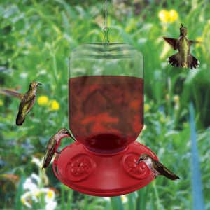 Dr. JB's 48-Ounce Switchable Size Hummingbird Feeder