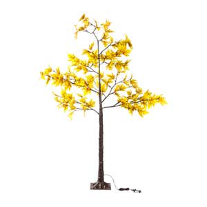 Indoor/Outdoor Golden Sugar Maple Tree, 6'H with 96 Lights