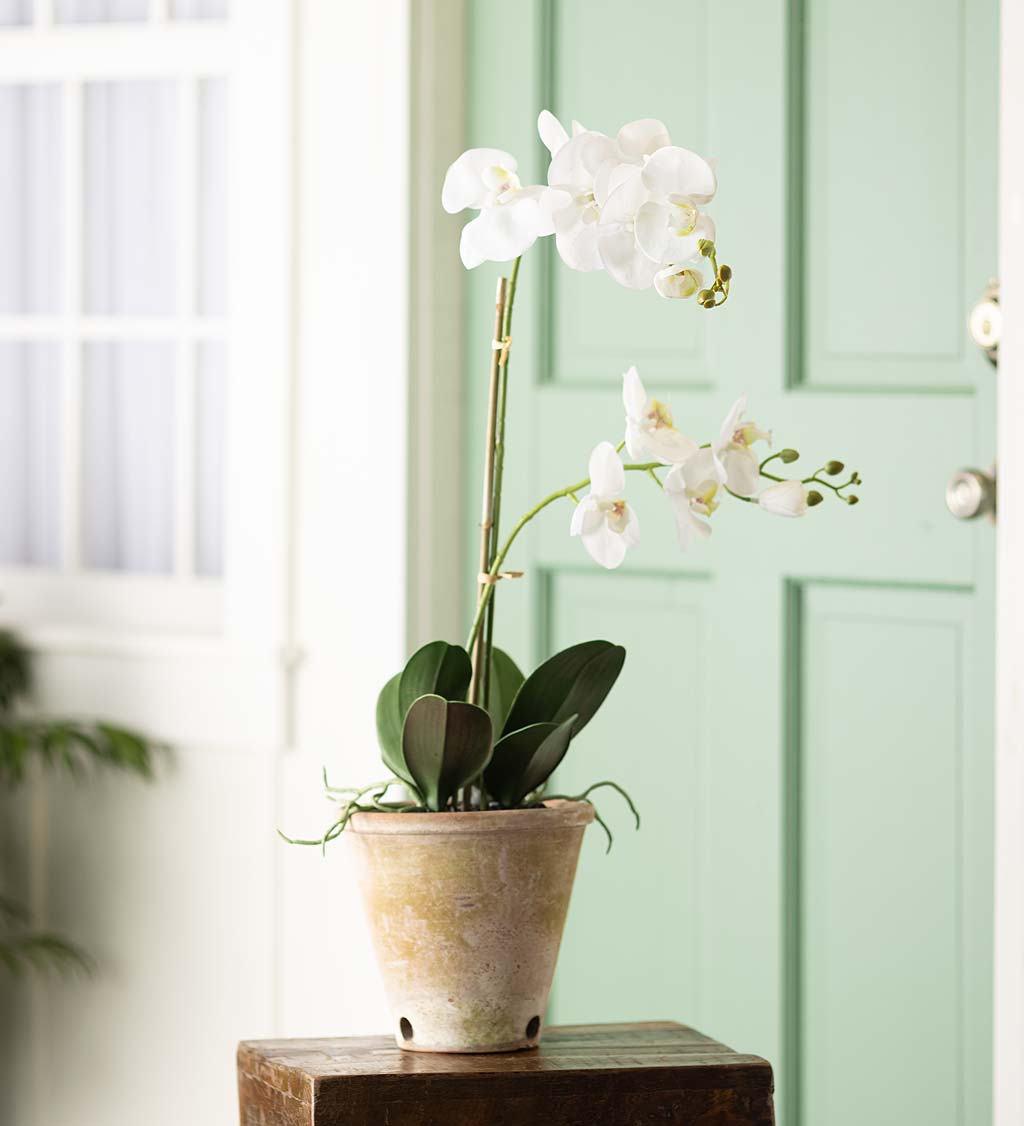 Faux Real White Orchid Artificial Plant