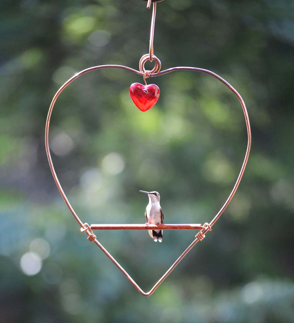 Tweet Heart Bird Swing