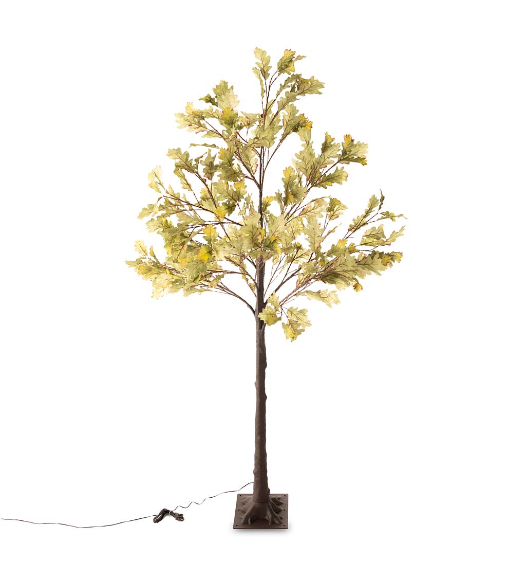Indoor/Outdoor Electric Lighted Moss Oak Tree, 6'H with 208 lights