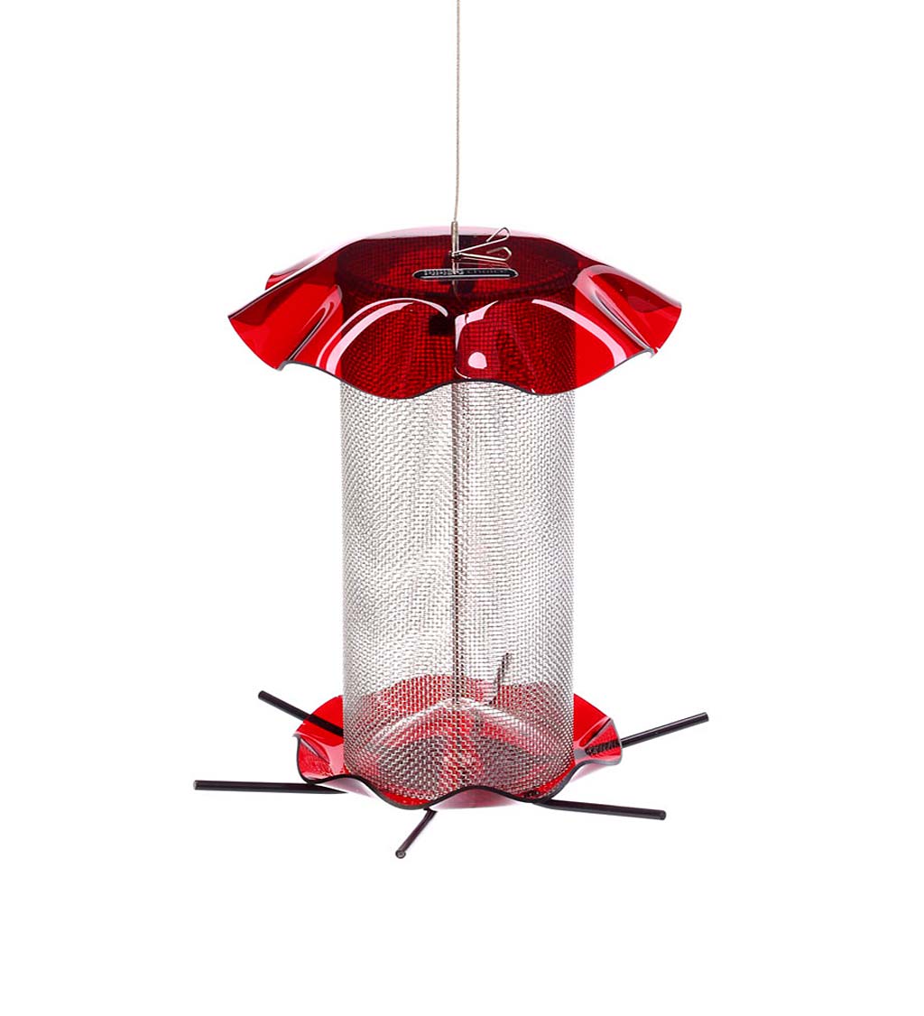 Acrylic and Stainless Steel Hanging Nyjer Bird Feeder