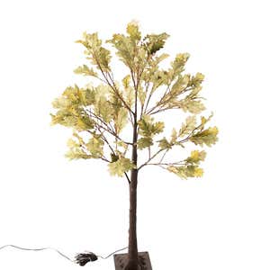Indoor/Outdoor Electric Lighted Moss Oak Tree, 4'H with 108 lights