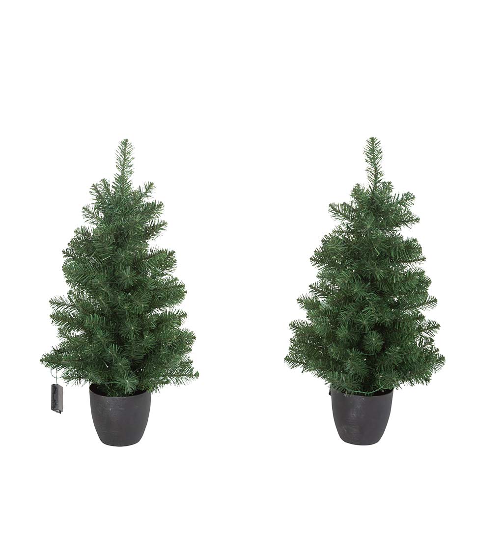 Holiday Porch-In-A-Box Lighted Montfair Pine Decorating Set
