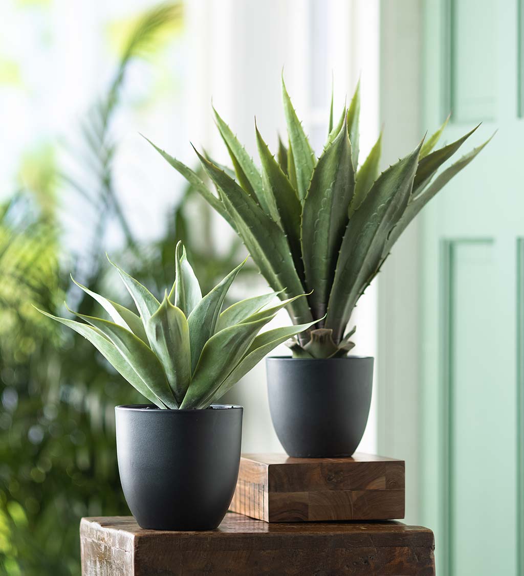 Large Faux Real Agave Plant