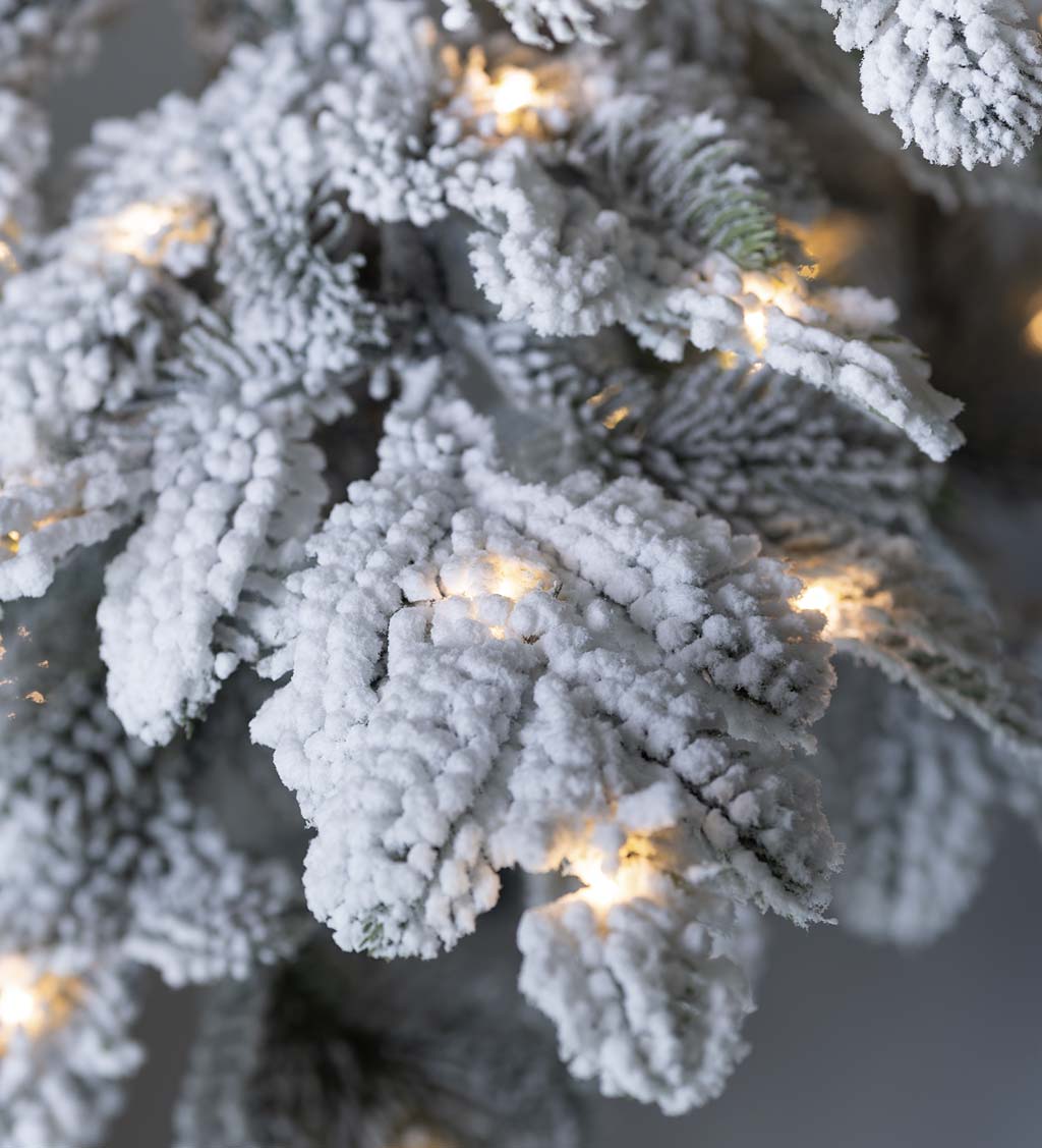Monte Rosa Lighted Flocked Alpine Fir Christmas Tree