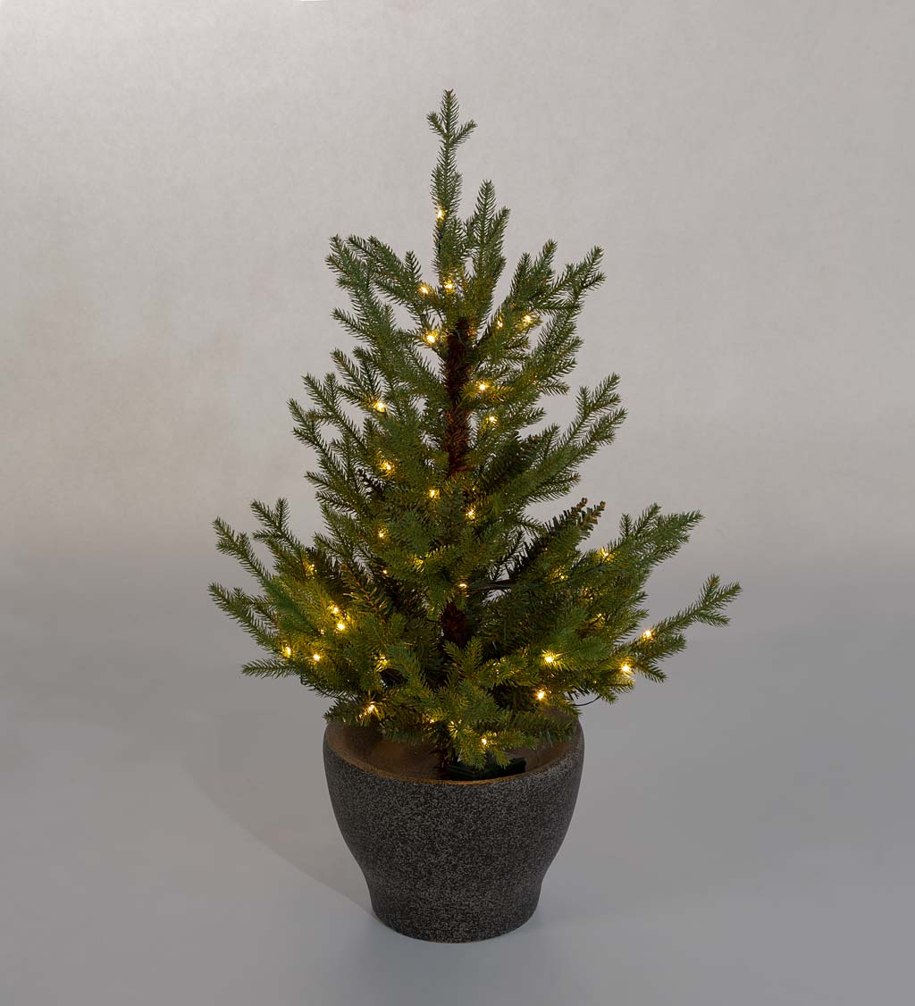Indoor/Outdoor Roanoke Spruce Potted Tree with Warm White LEDs