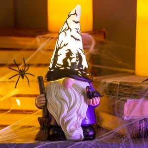 Halloween Gnome with Lighted Hat and Raven