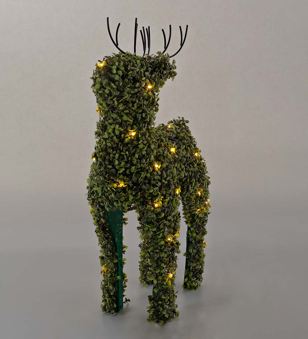 Lighted Boxwood Reindeer Topiary