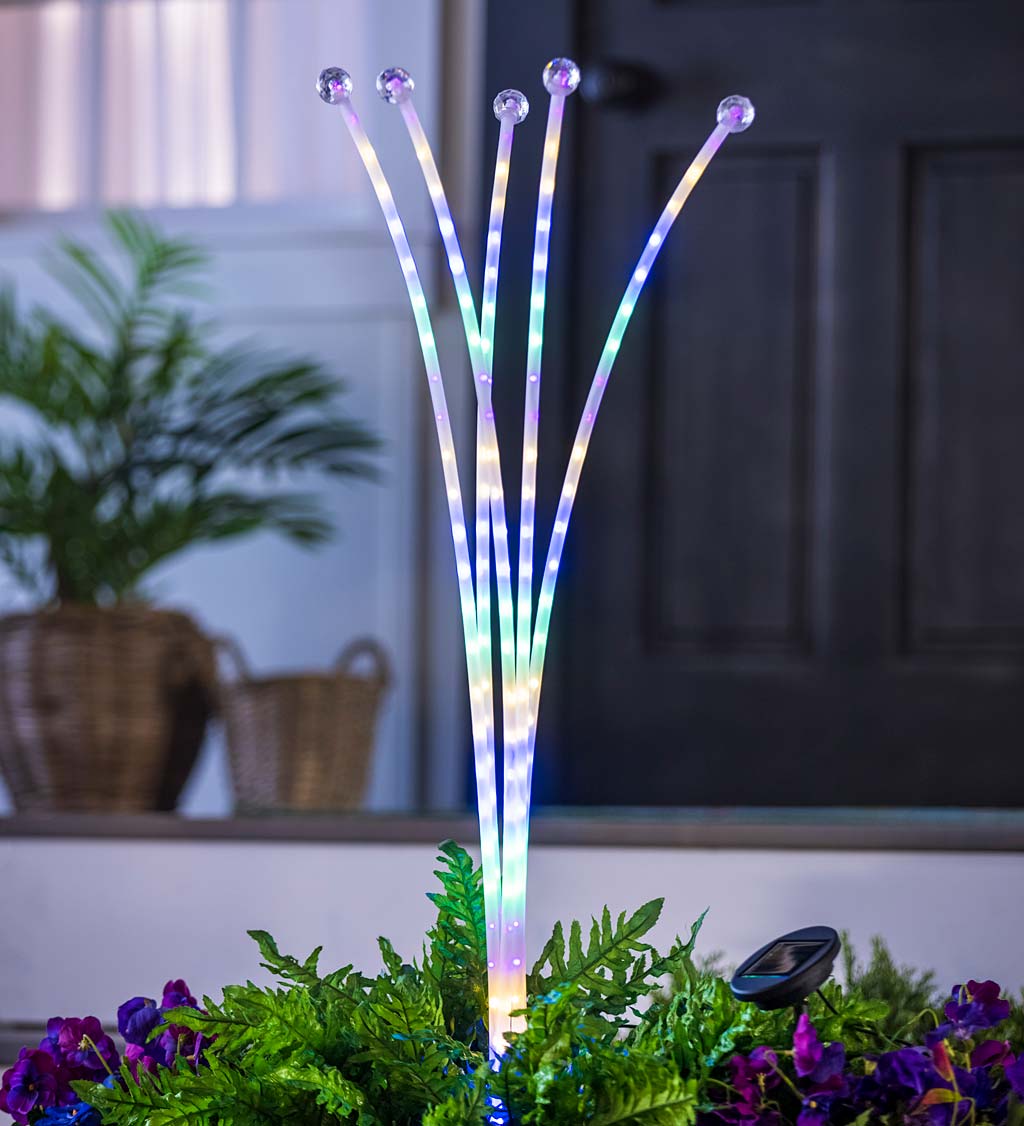 Colorful Solar Path Lights with Frosted Finish