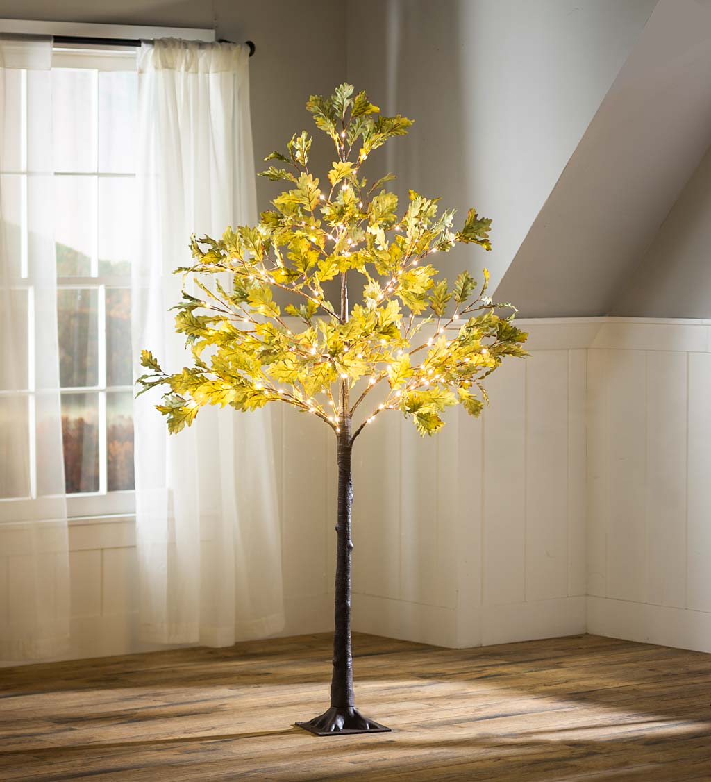 Indoor/Outdoor Electric Lighted Moss Oak Trees