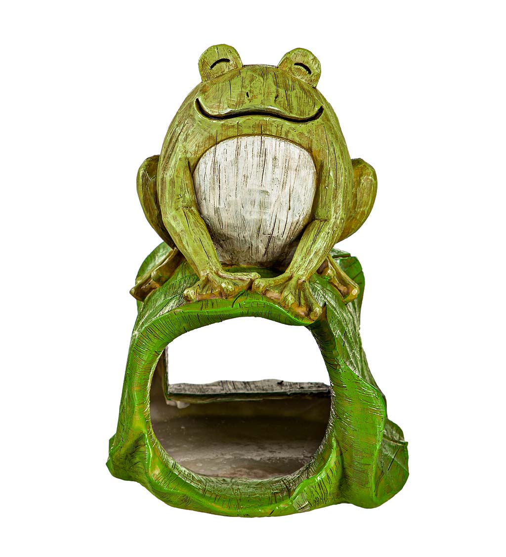 Happy Frog Downspout Cover