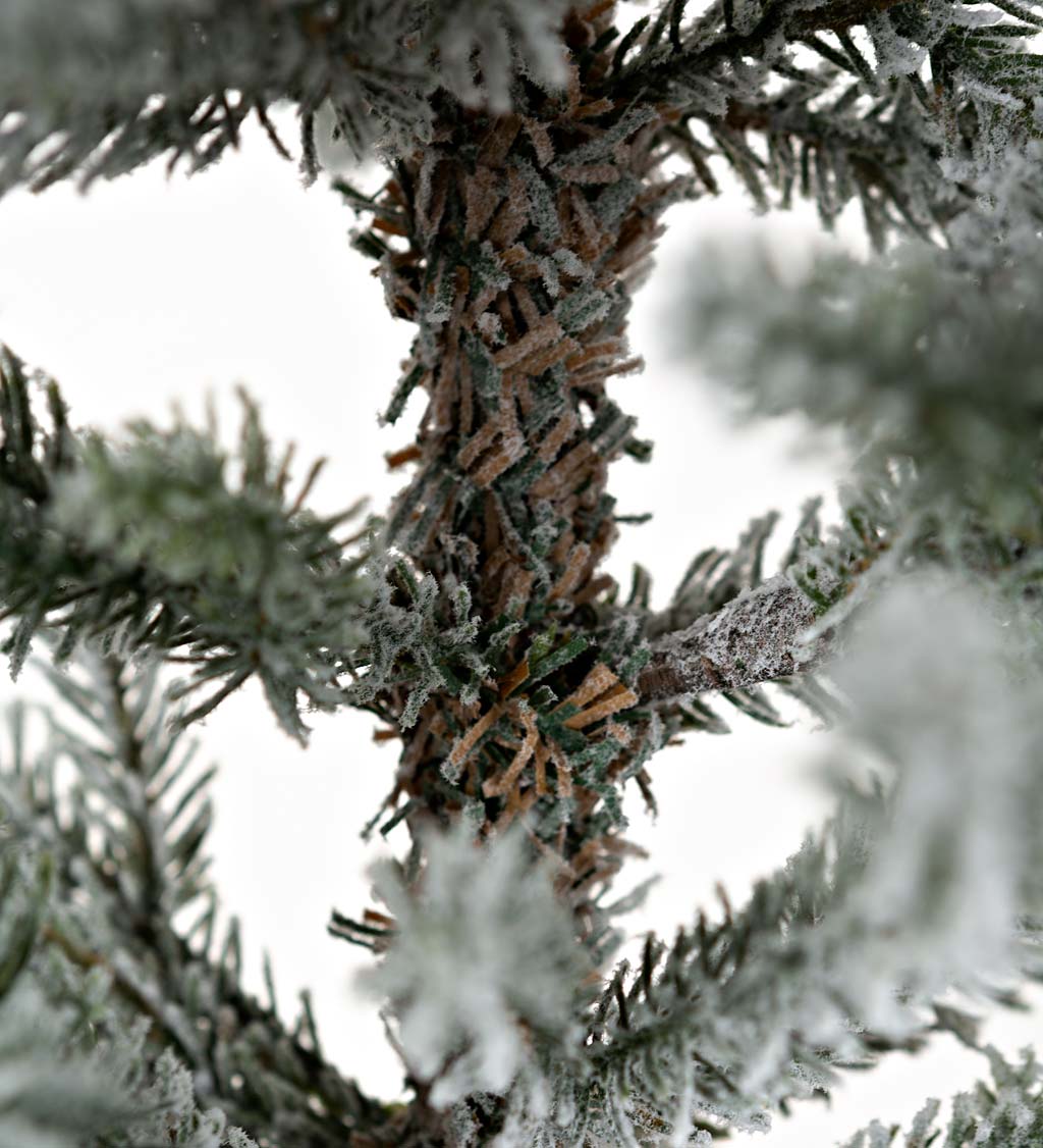 Flocked Roanoke Spruce Christmas Tree