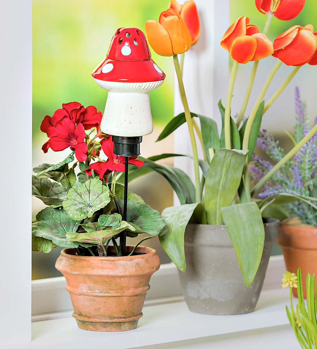 All-In-One Ceramic Fruit Fly/Fungus Gnat Trap with Watering Globe