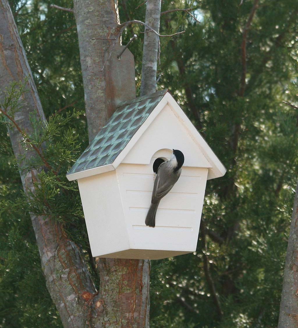 Hardwood Hanging Cottage-Style Birdhouse with Verdigris Copper Roof