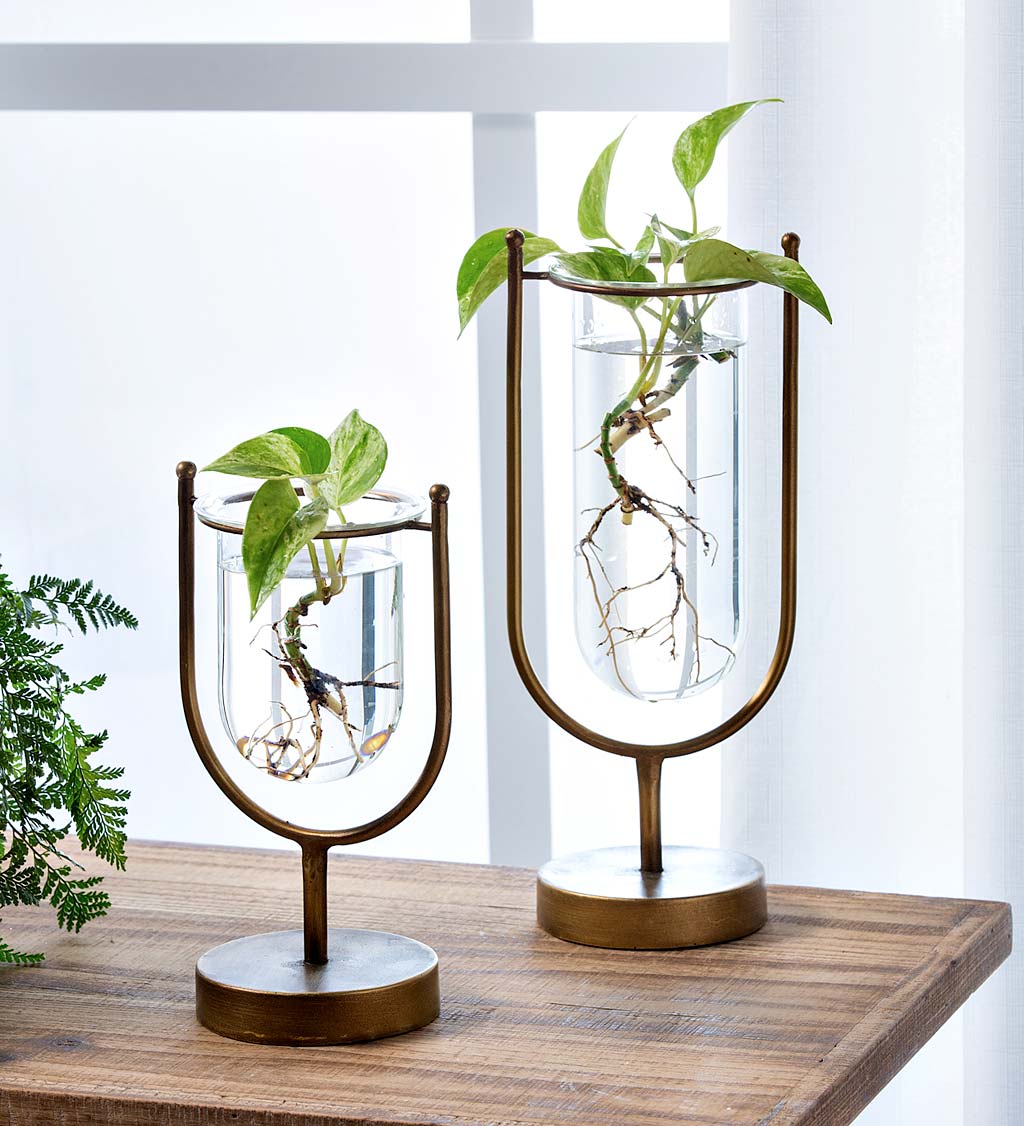 Set of Modern Glass Vases with Metal Stands