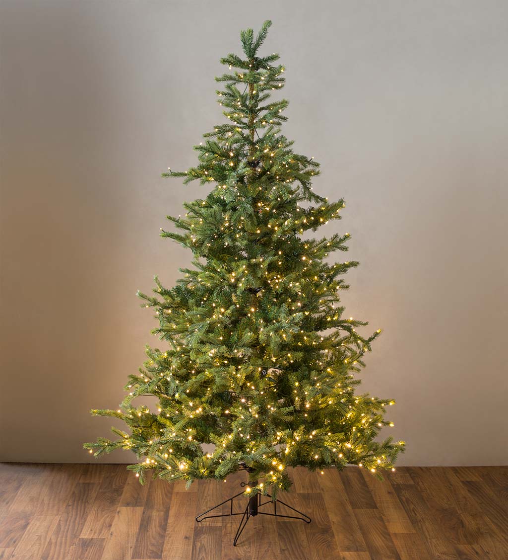 Grandis Fir Christmas Trees with 8-Function Warm White LEDs