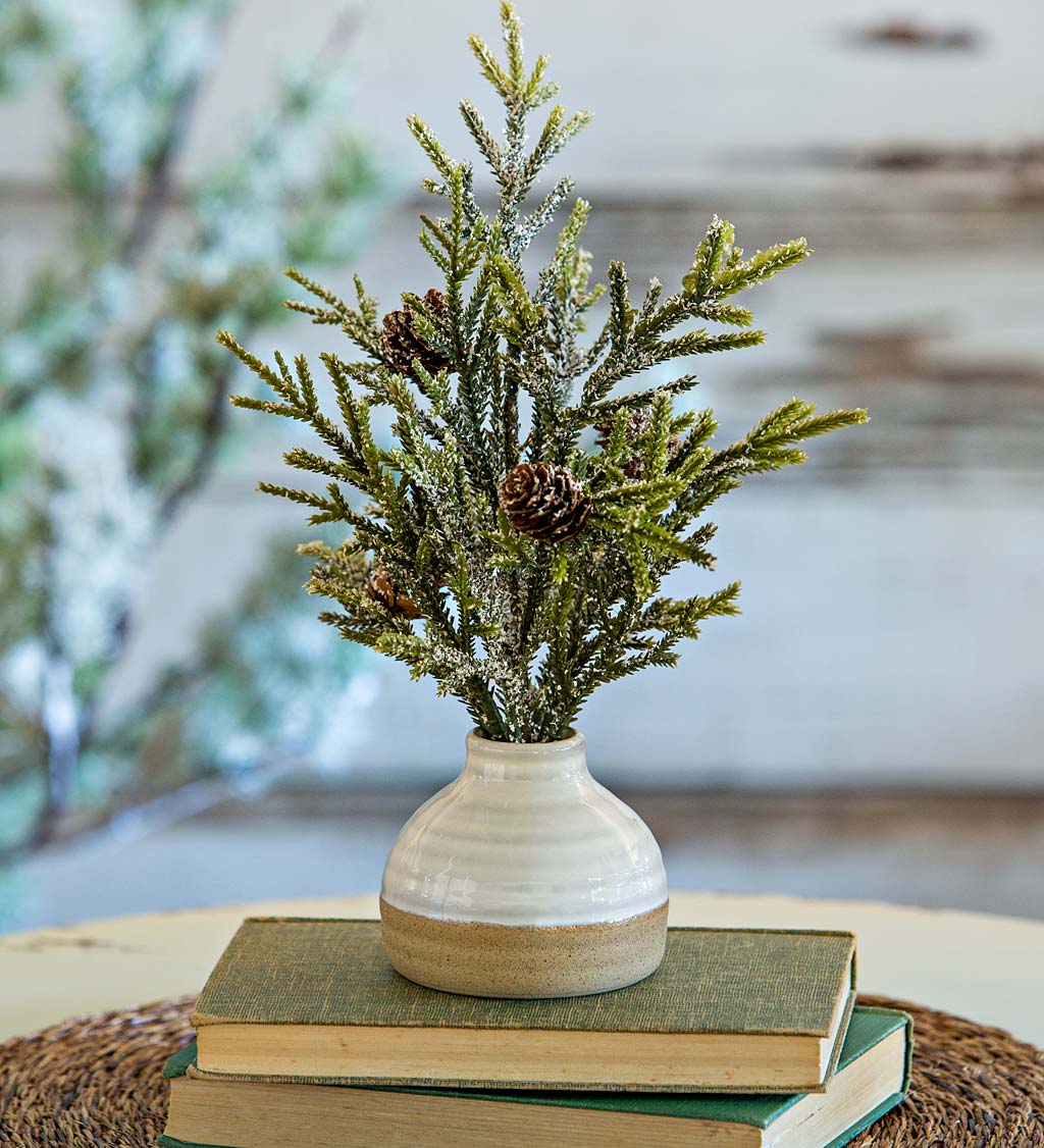 Snow Juniper with Artificial Pine in Ceramic Pot