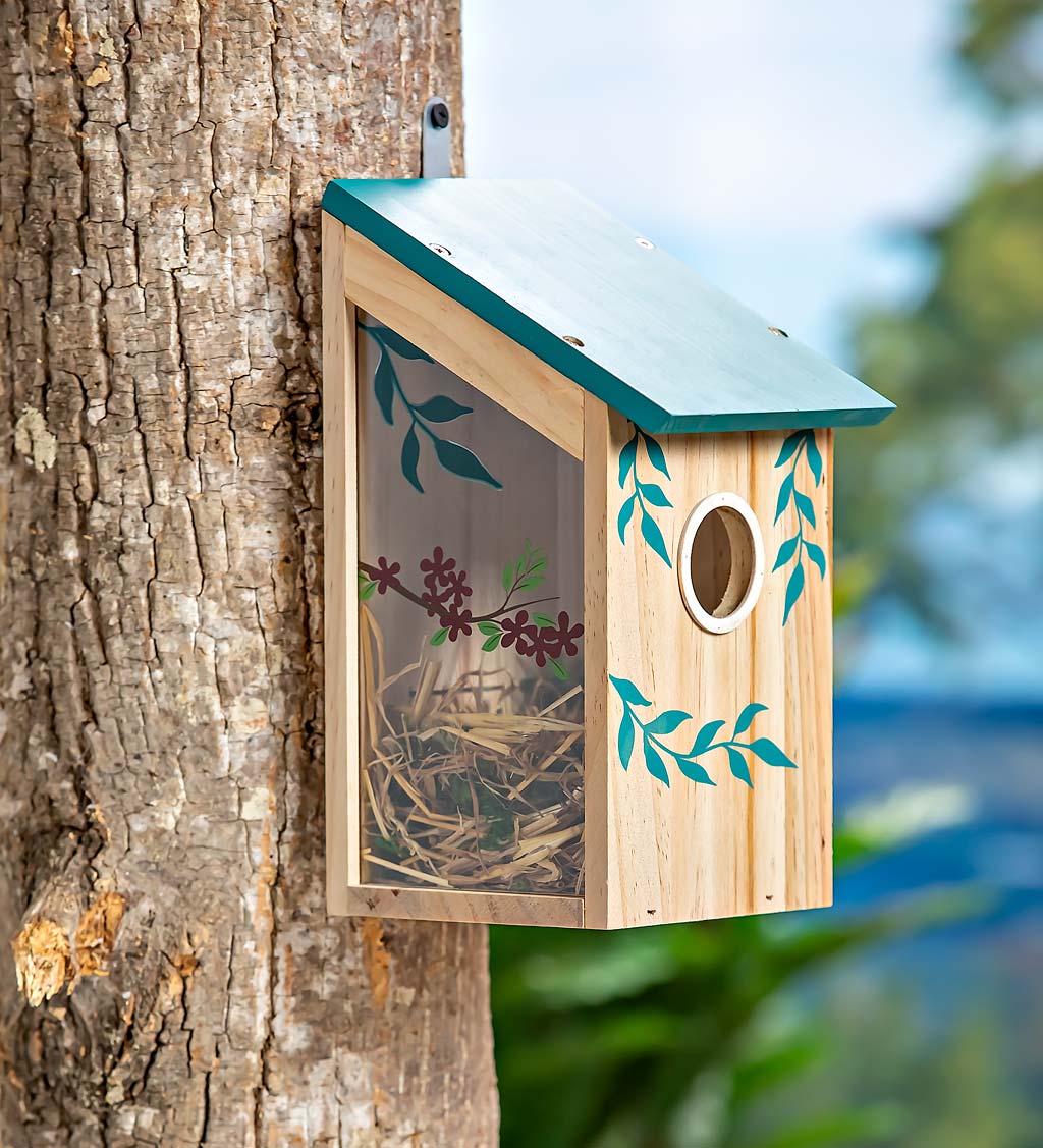 Blue Wooden Bird House with Viewing Window