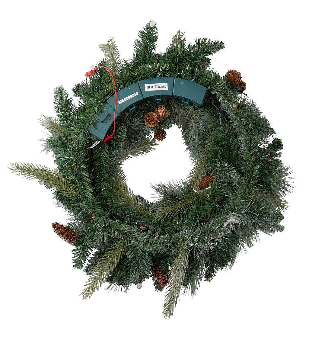 Winter Frost Lighted Holiday Wreath